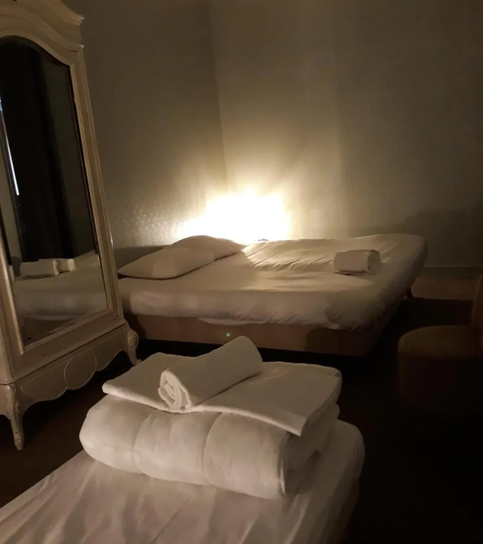 Ho36 Opera Hotel Lyon